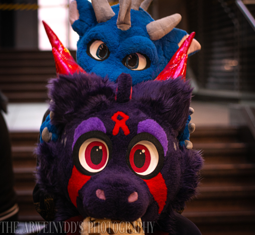 _MG_2386.jpg