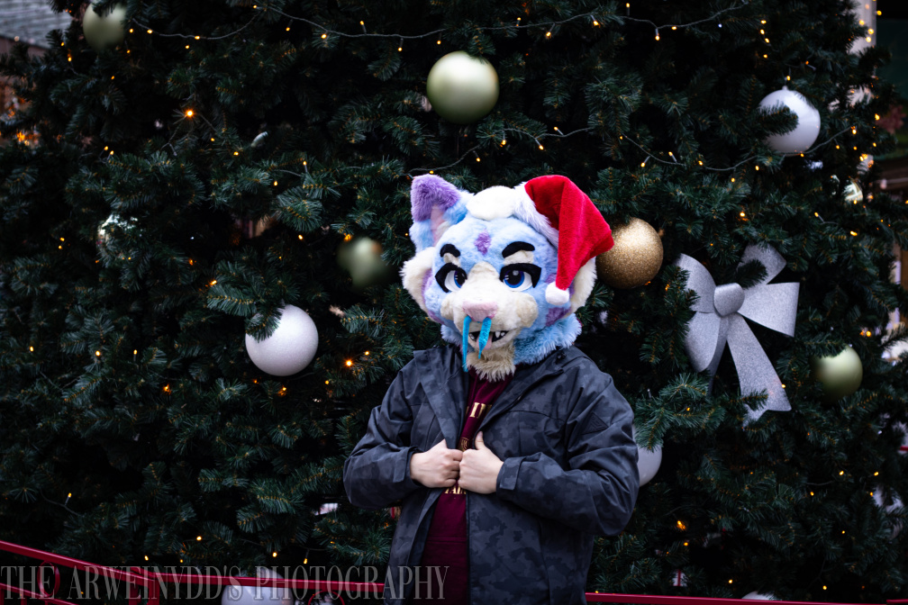_MG_2349.jpg
