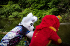 IMG 0683